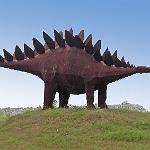 1129