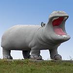 1596
