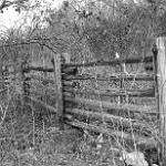 1891