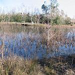 1899