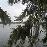 1969
